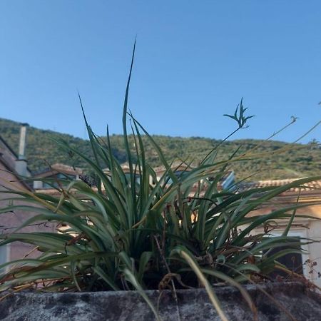 L'Angolo Rosa B&B Piedimonte d'Alife Exterior foto